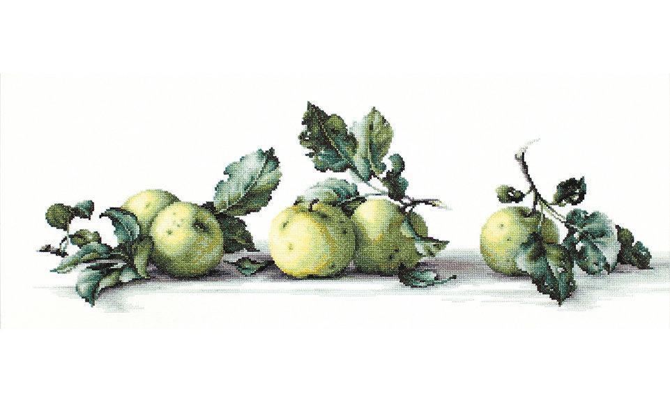 Still Life with apples B2259L Counted Cross-Stitch Kit