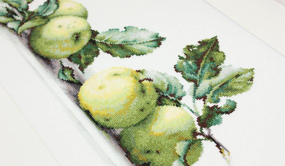 Still Life with apples B2259L Counted Cross-Stitch Kit